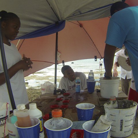 GOPR0172 GOPR0172