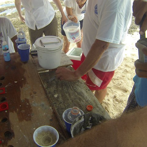 GOPR0203 GOPR0203