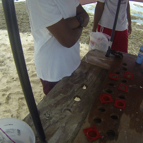 GOPR0221 GOPR0221