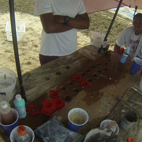 GOPR0253 GOPR0253