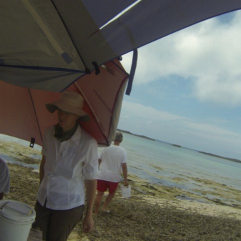 GOPR0256 GOPR0256