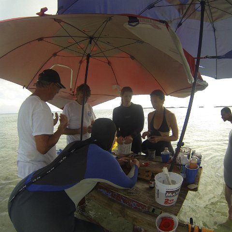 GOPR0274 GOPR0274