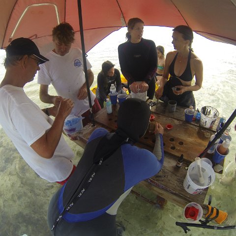 GOPR0275 GOPR0275
