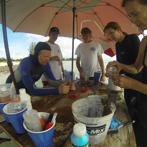 GOPR0278 GOPR0278