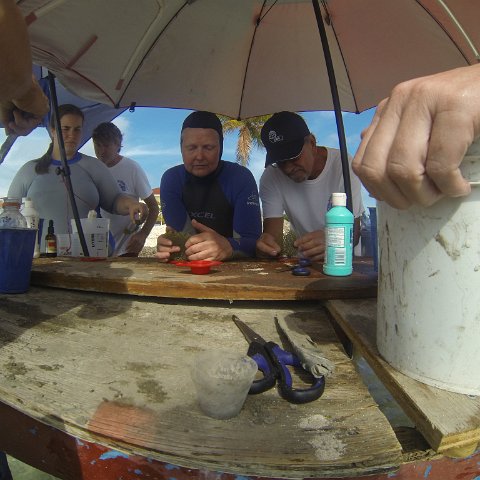 GOPR0281 GOPR0281