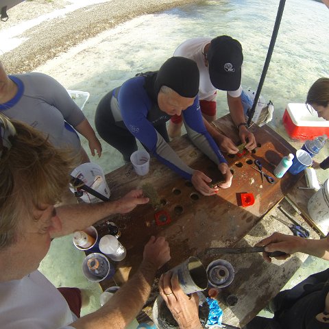 GOPR0283 GOPR0283