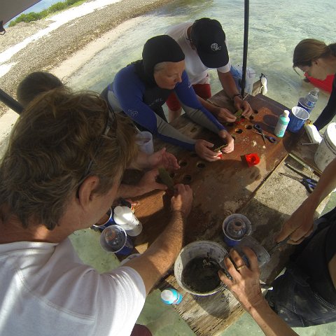 GOPR0285 GOPR0285