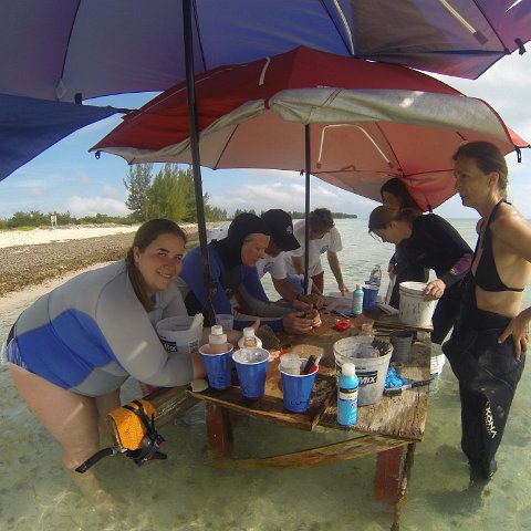 GOPR0289 GOPR0289