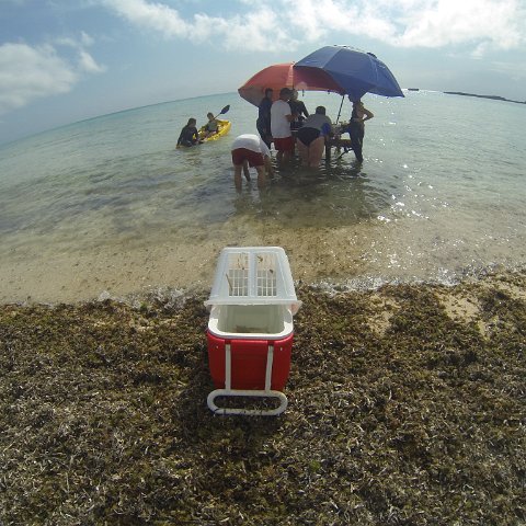 GOPR0297 GOPR0297