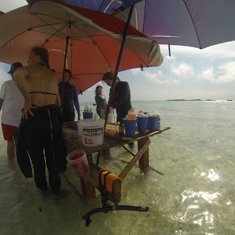 GOPR0301 GOPR0301