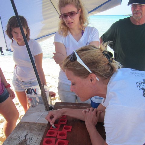 IMG_0559 IMG_0559