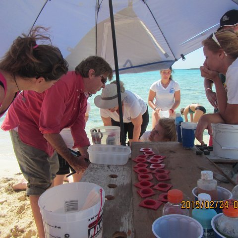 IMG_0565 IMG_0565