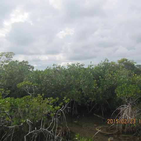 IMG_0522 IMG_0522