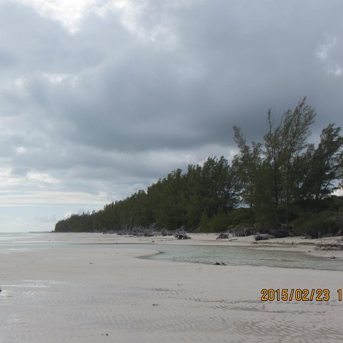 IMG_0528 IMG_0528