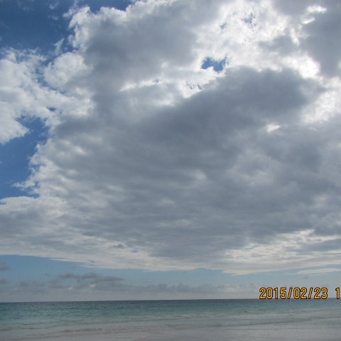 IMG_0532 IMG_0532
