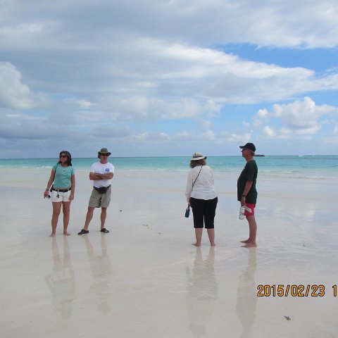 IMG_0533 IMG_0533