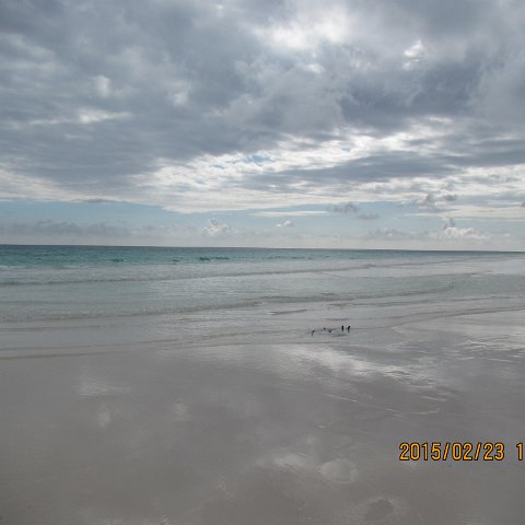 IMG_0535 IMG_0535
