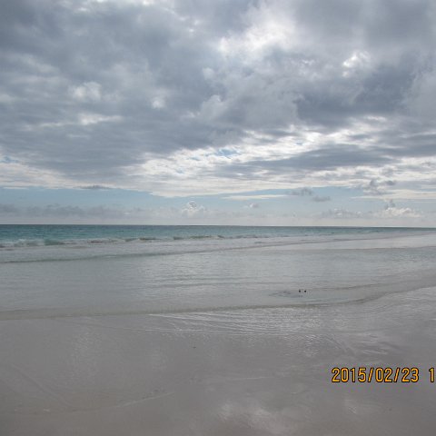 IMG_0536 IMG_0536