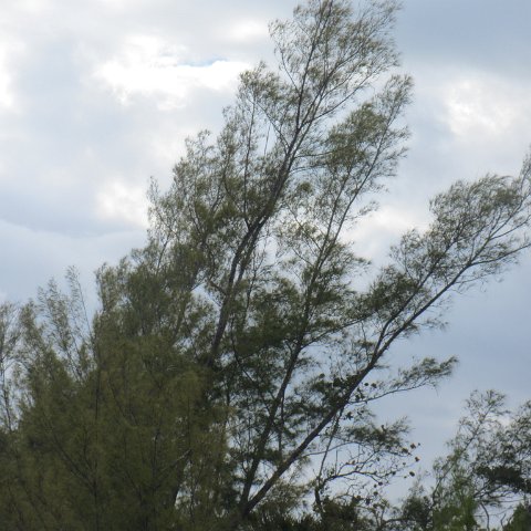 IMG_0544 IMG_0544