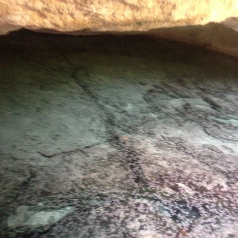 IMG_6454 IMG_6454