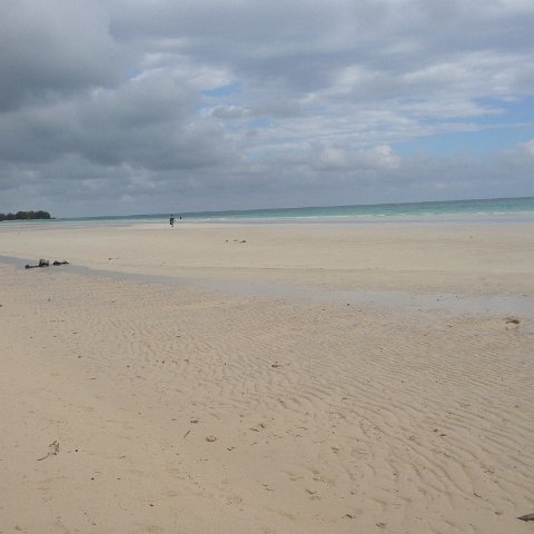 IMG_6485 IMG_6485