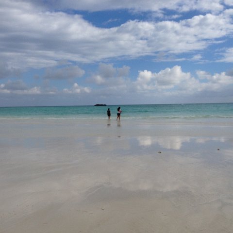 IMG_6502 IMG_6502
