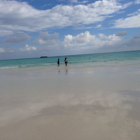 IMG_6503 IMG_6503