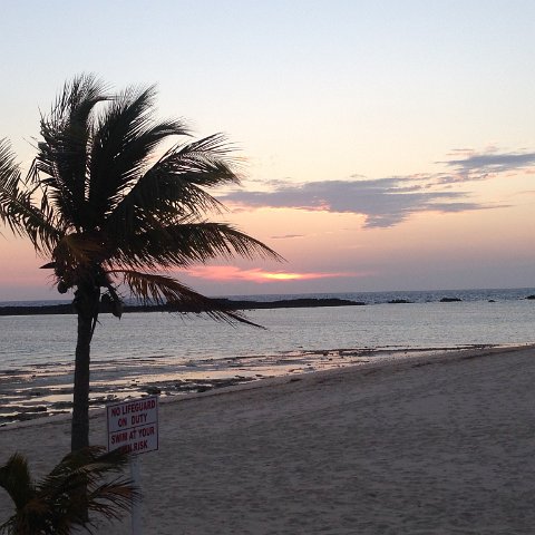 IMG_6576 IMG_6576