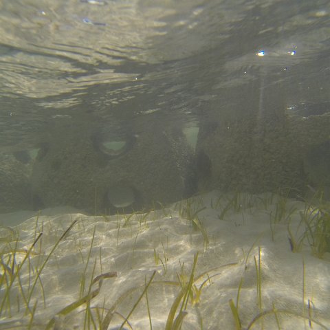 G0010122 G0010122