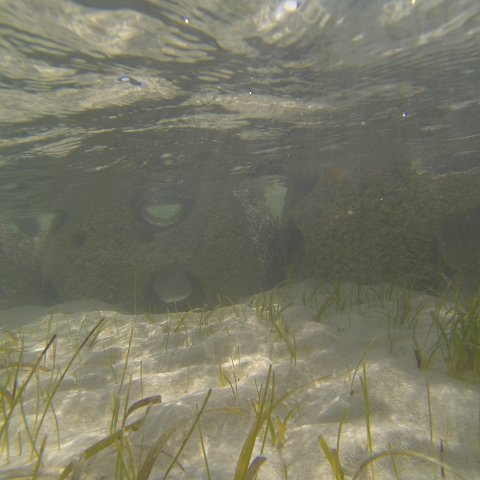 G0010129 G0010129