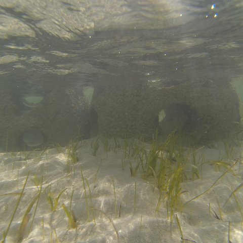 G0010147 G0010147