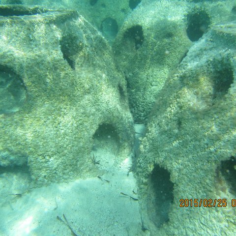 IMG_0620 IMG_0620