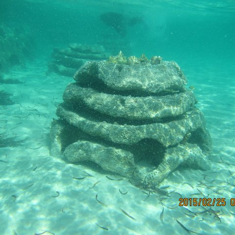 IMG_0622 IMG_0622