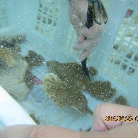 IMG_0623 IMG_0623