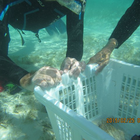 IMG_0628 IMG_0628