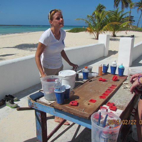 IMG_0488 IMG_0488