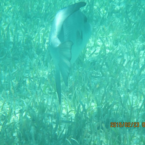 IMG_0496 IMG_0496