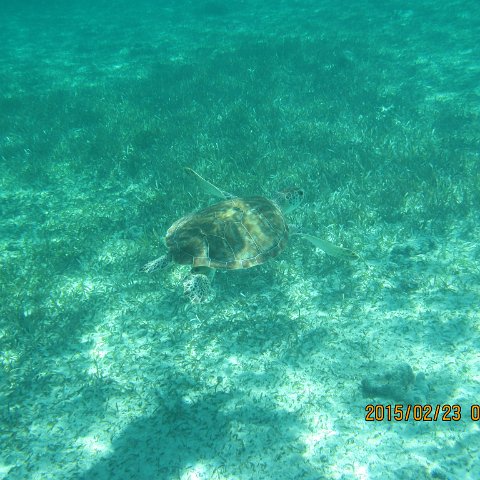 IMG_0504 IMG_0504