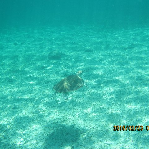 IMG_0505 IMG_0505