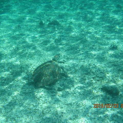 IMG_0506 IMG_0506