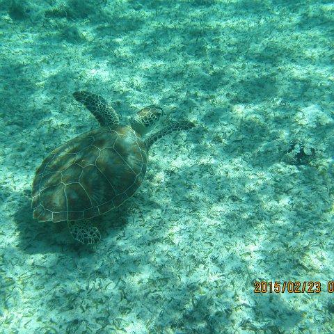 IMG_0507 IMG_0507