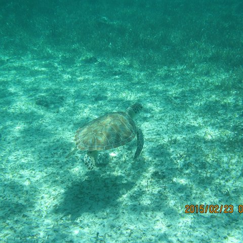 IMG_0508 IMG_0508