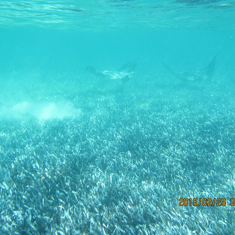 IMG_0510 IMG_0510