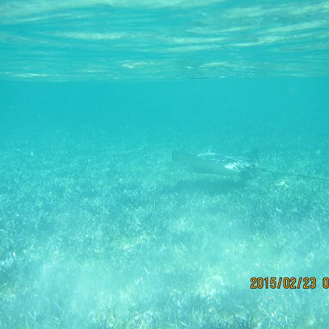 IMG_0511 IMG_0511