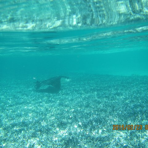 IMG_0512 IMG_0512