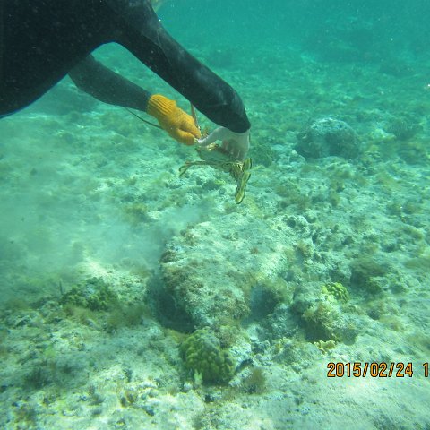 IMG_0575 IMG_0575