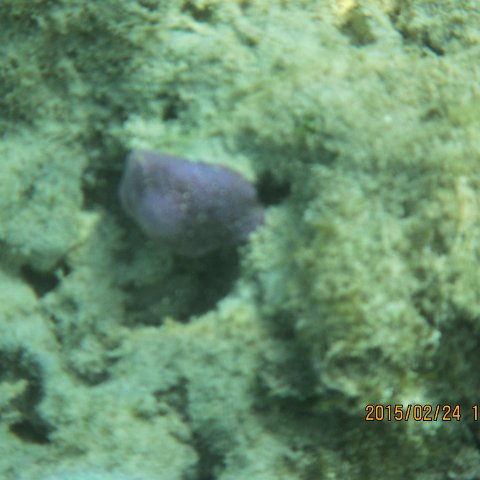 IMG_0582 IMG_0582