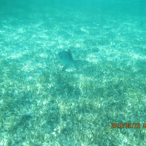 Img_0494 Img_0494