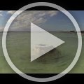 GOPR0039