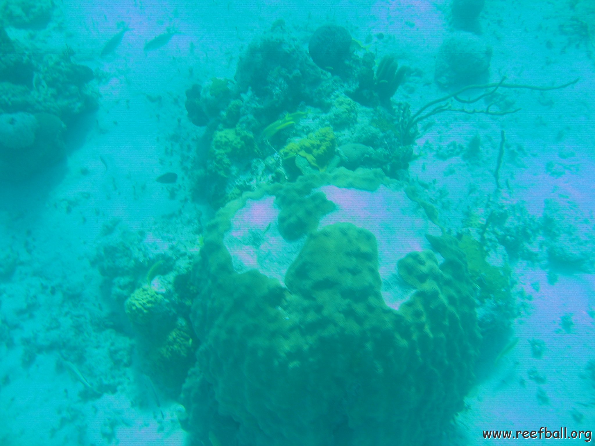 bahamas 156
